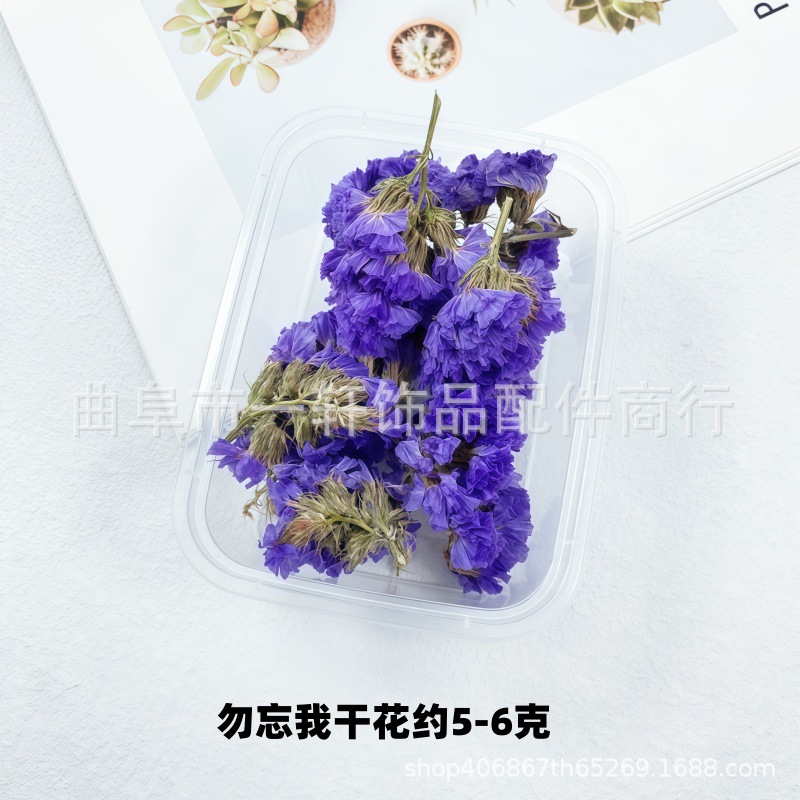 Picture of Dried Flower DIY Material Boxed Real Flower Air-Dried Forget-Me-Not Rose Lover Grass Gypsophila Decorative Flower Material Handmade