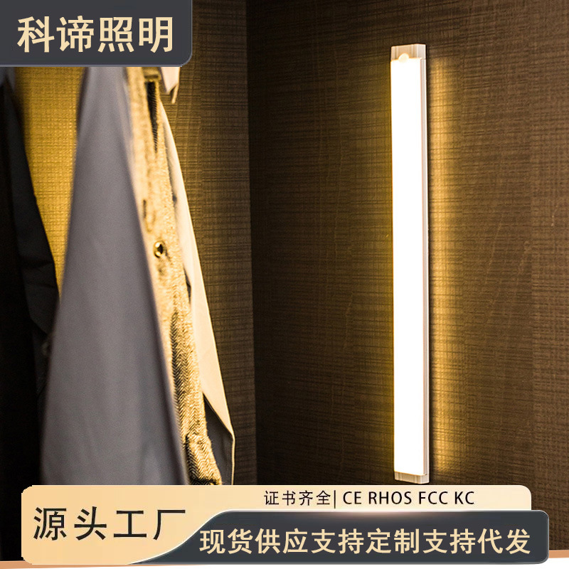 Intelligent Human Body Sensor Lamp Stairway Automatic Sound and Light Control Wardrobe Cabinet Night Led Night Light Dimmable