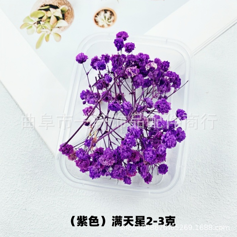 Picture of Dried Flower DIY Material Boxed Real Flower Air-Dried Forget-Me-Not Rose Lover Grass Gypsophila Decorative Flower Material Handmade