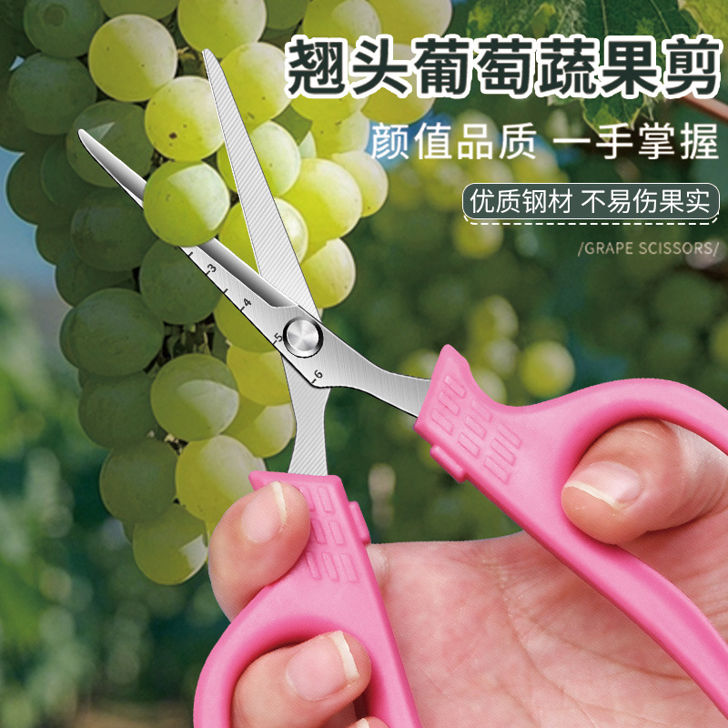 Grape pruning shears, Amazon horticultural garden flower pruning pots, fruit picking shears, orchard bonsai, citrus household shears