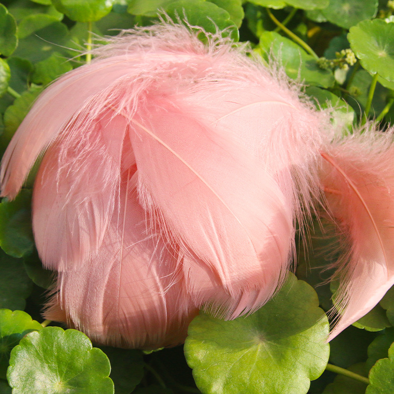 Picture of diy handmade color floating feather goose feather dream catcher wave ball gift box filling decoration materials