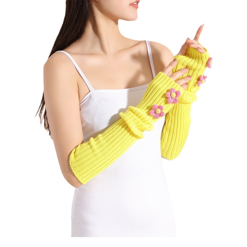 Amazon gloves knitted wool warm women's autumn and winter oversleeve long cold-proof Korean style arm sleeve foreign trade cross-border