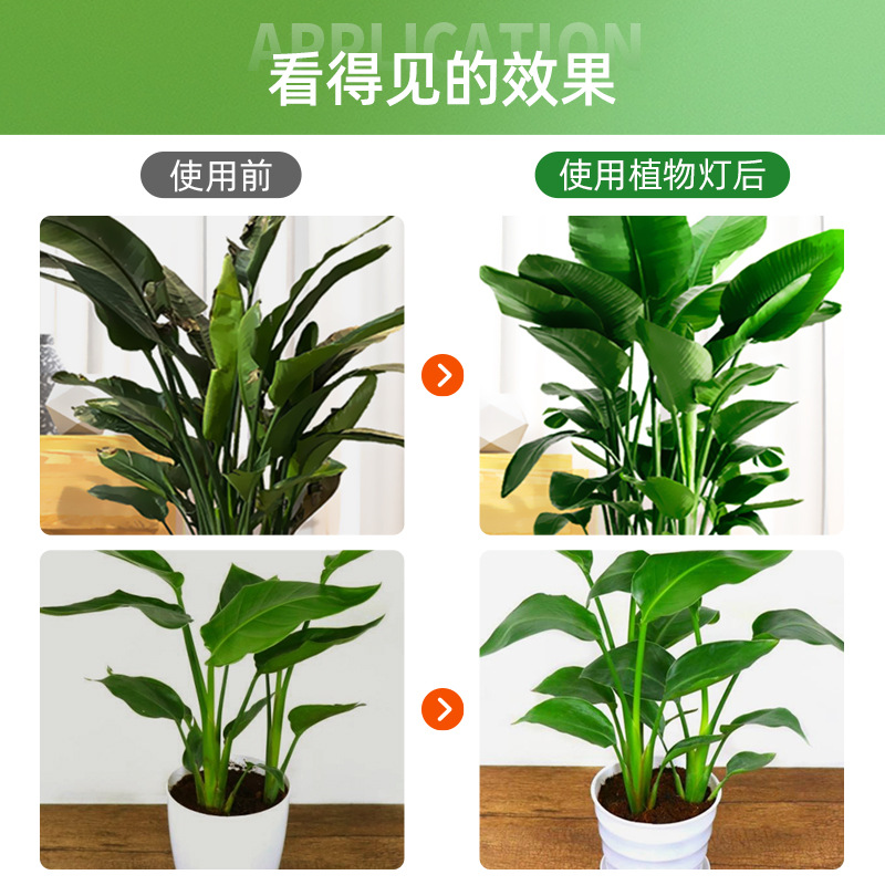 Picture of Indoor Floor Type Supplementary Light Side Luminous Green Plant Full Spectrum Simulation Sun-like Vertical Flower Stand Plant Growth Light