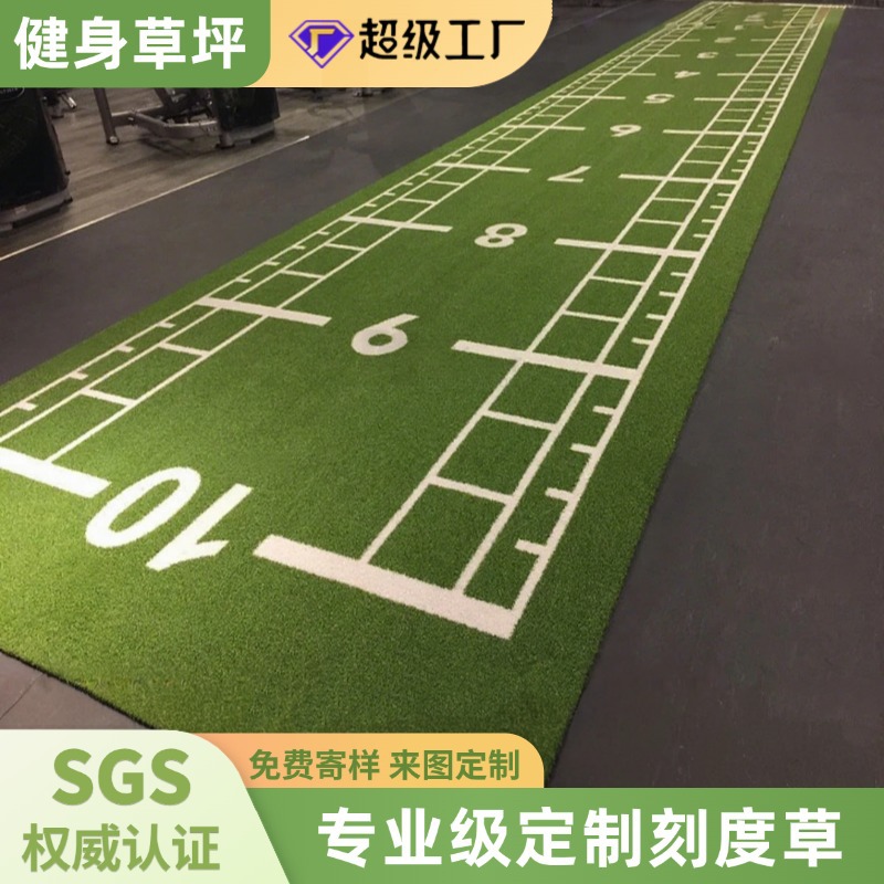 gym scale ruler lawn functional pattern artificial turf personal training studio black curved silk carpet