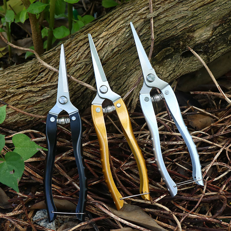 Picture of Stainless Steel Fruit Picking Shears Pruning Shears Fruit Branch Shears Garden and Gardening Shears with Serrated Zinc Alloy Grip Handle Fruit Tree Chopped Shears