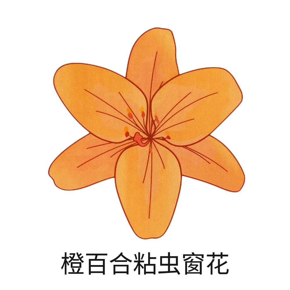 Picture of Stickworm window grilles Transparent Stickworm Board Flycatcher Flyboard Fly Sticker Fly Trap Drosophila Sticker Fly Paper