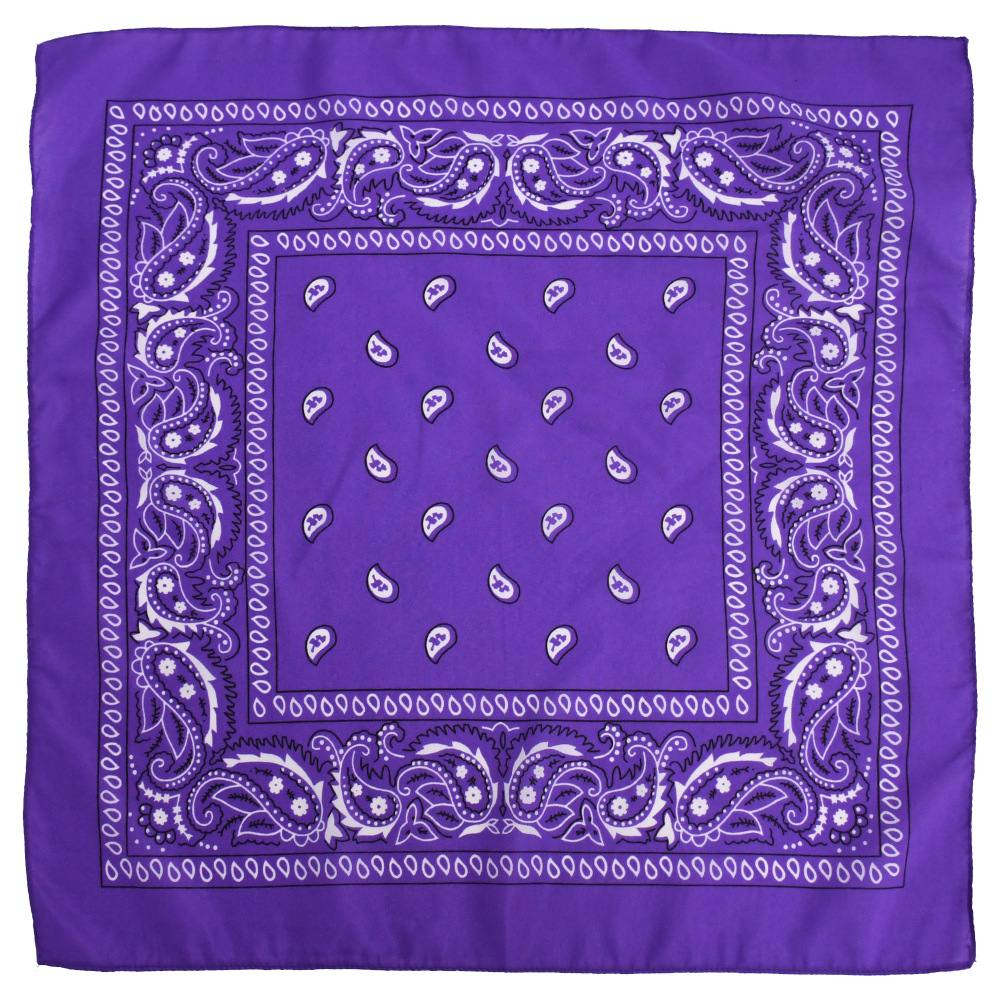 Picture of Factory direct supply in stock polyester square paisley scarf wholesale hip hop hip hop riding cashew flower scarf