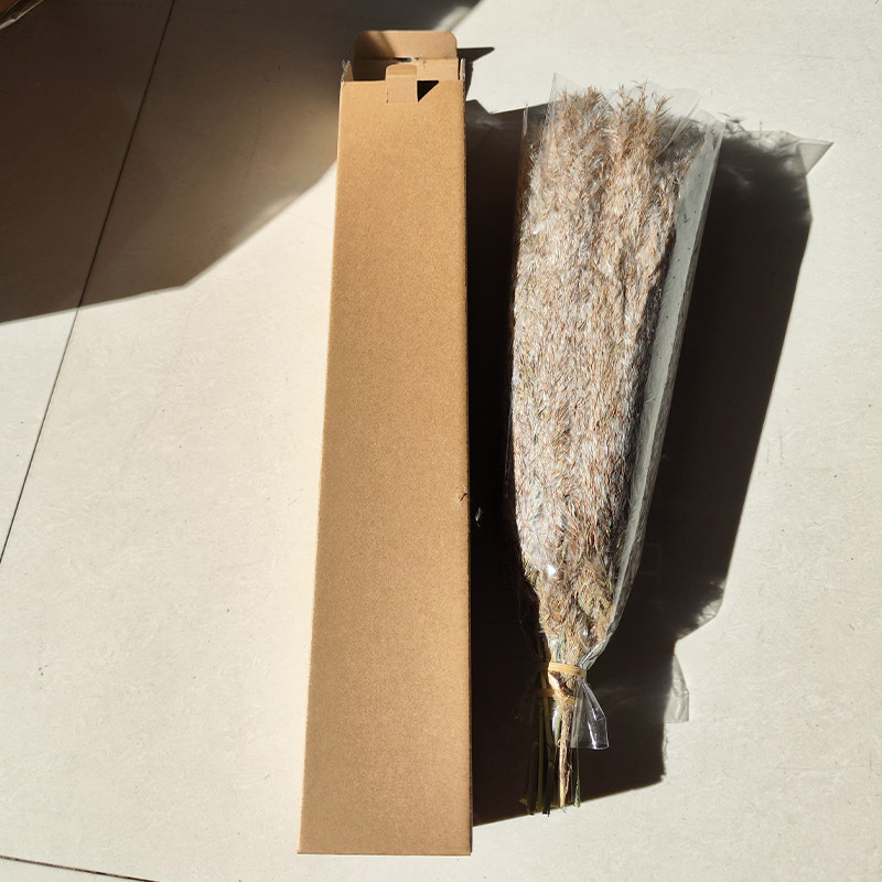 Picture of Cross-border Hot Sale Bohemian Style Decoration Fluffy Pampas Grass Natural Pampas Decorative Dried Flower bouquet