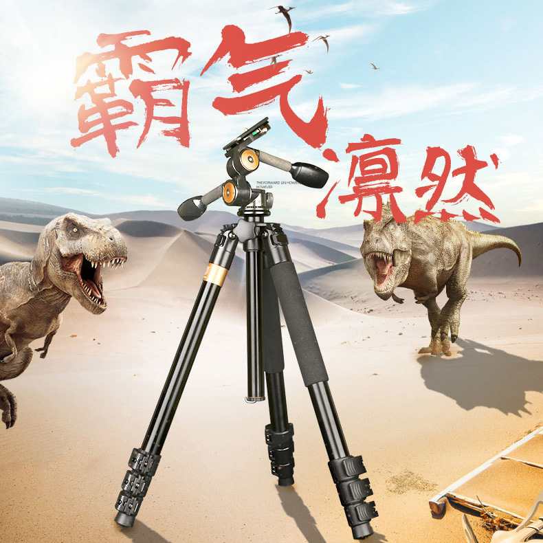 Picture of Light age Q620 stable tripod camera DV professional photography three-dimensional pan-tilt bird watching video stabilizer