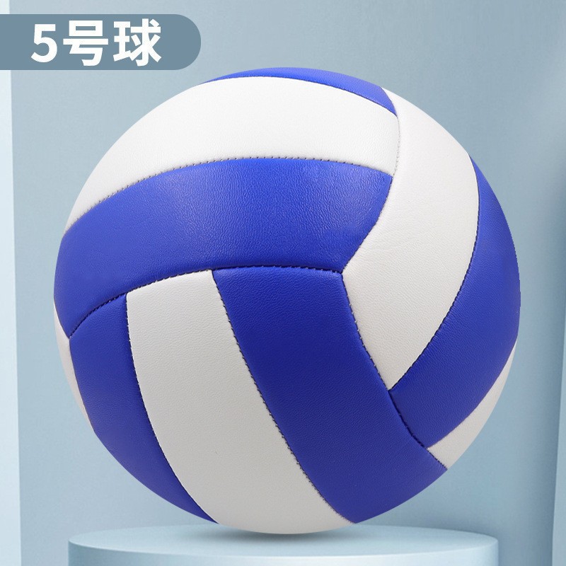 Picture of Volleyball Factory Senior High School Entrance Examination Special Competition for Primary and Secondary School Students Soft Hard Row No.5 Children's Training Machine Sewer PVC Balls