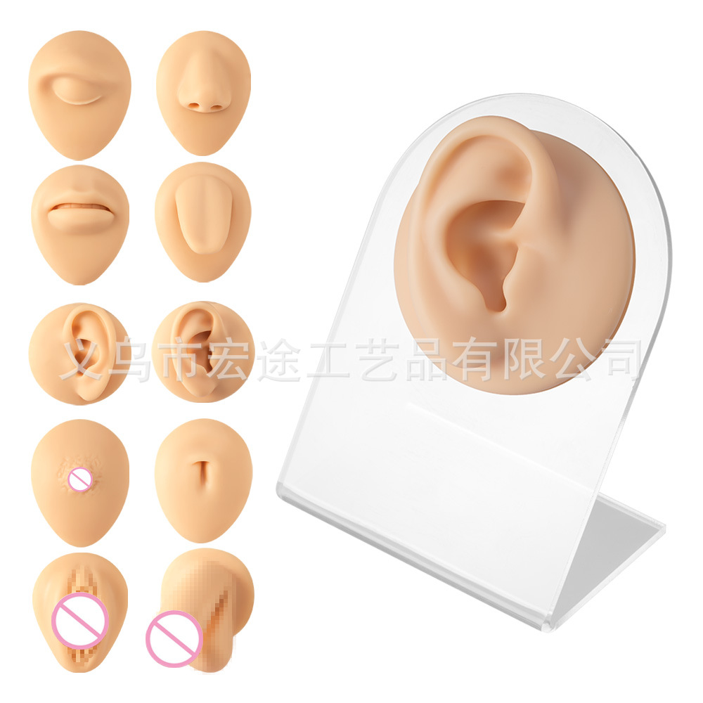 Human silicone facial features model piercing exercises ears nose eyes eyebrow bones tongue lips teaching piercing exercises