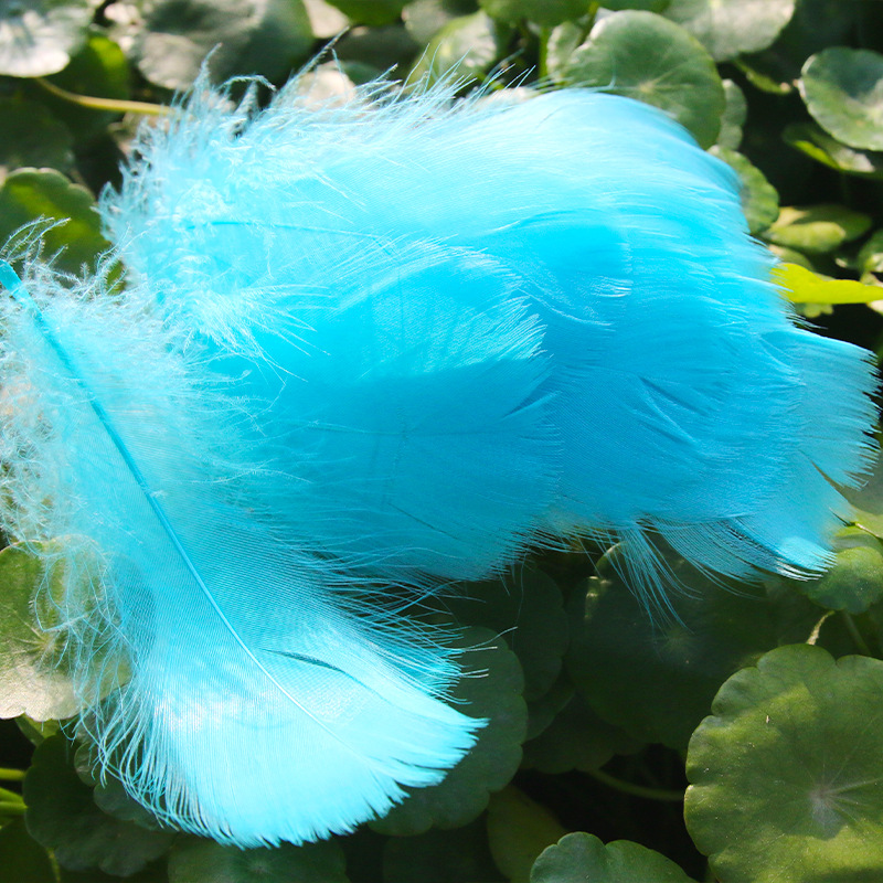 Picture of diy handmade color floating feather goose feather dream catcher wave ball gift box filling decoration materials