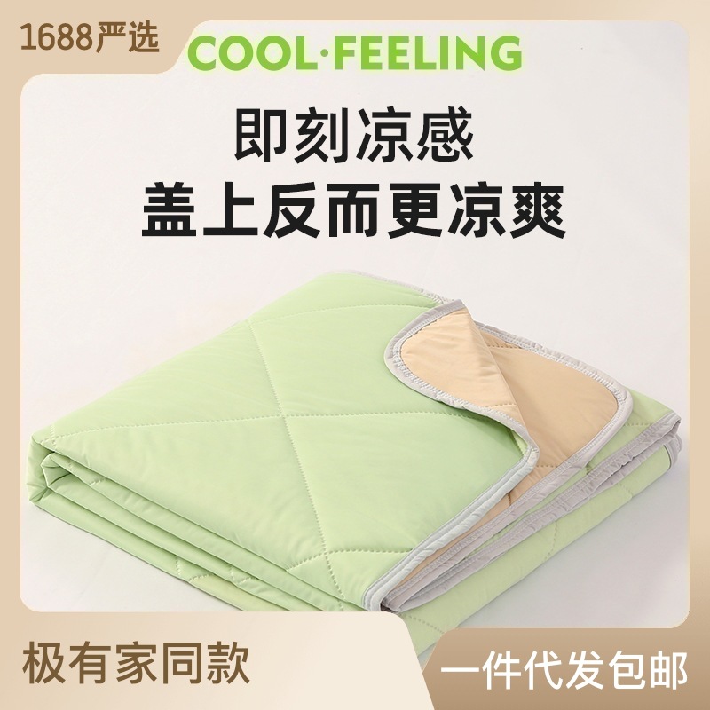 2025 New Technology Air Conditioning Quilt Core Cool Silk Summer Quilt Company Group Buying Store Celebration Gift Live Manufacturer Wholesale