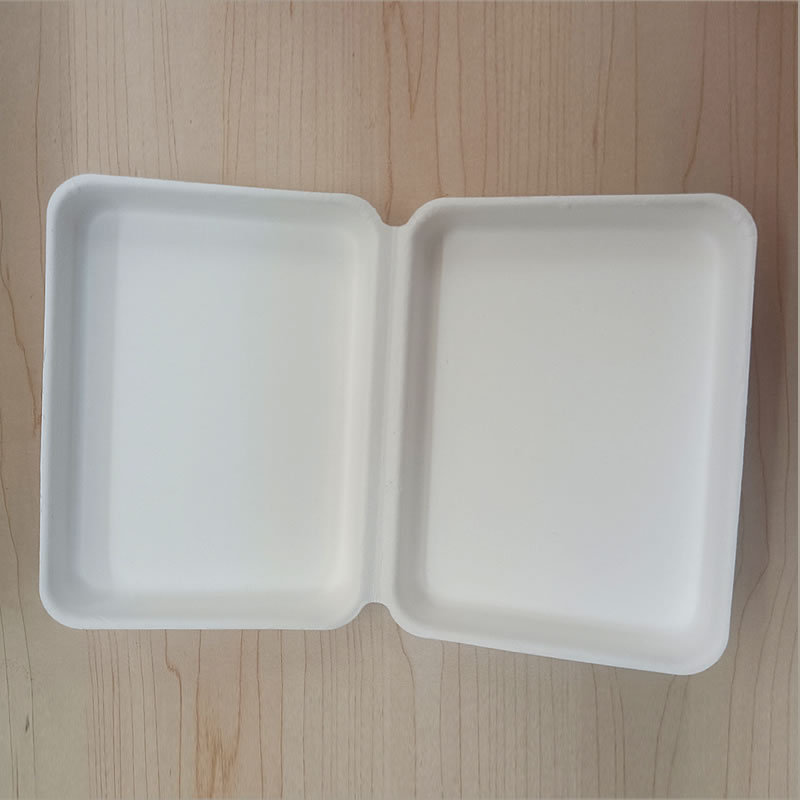 White Paper Pulp Box Sugar Cane Pulp Material, Environmentally Friendly and Universal, Suitable for Packaging Daily Necessities and Accessories