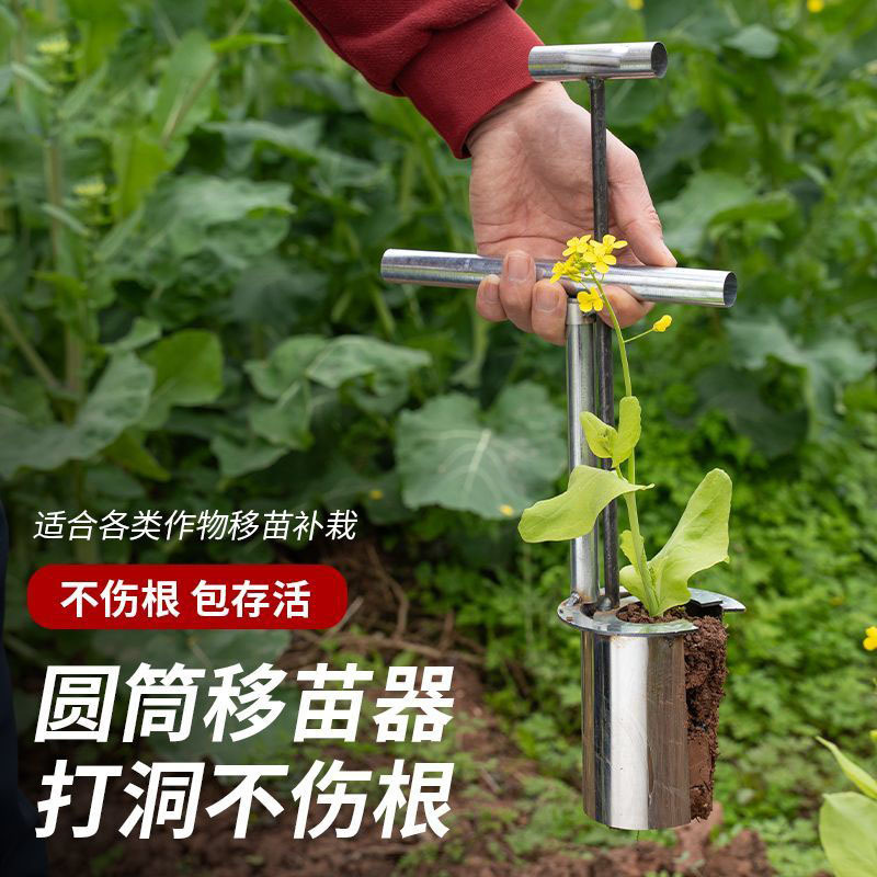 Fierce steel thick seedling transplanter transplanter watermelon corn seedling transplanter greenhouse vegetable soil sampler hole artifact