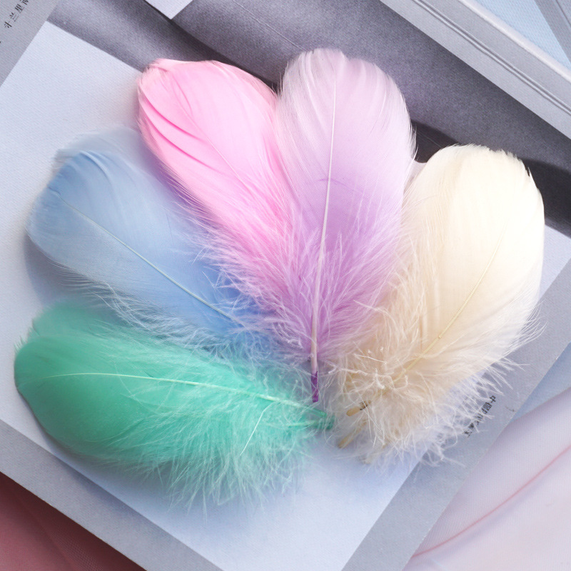 Picture of Color feather DIY floating dyeing goose feather dream catcher wave ball gift box filling decorative materials wholesale