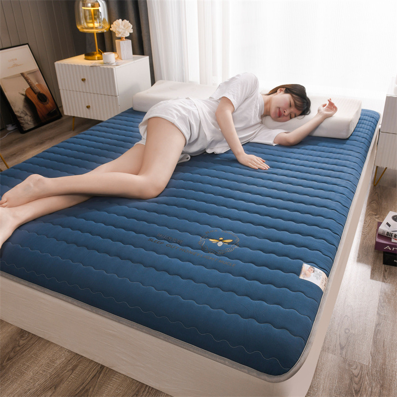 Picture of Soybean fiber mattress foldable home bed & breakfast tatami floor sleeping mat single double rental soft mattress wholesale