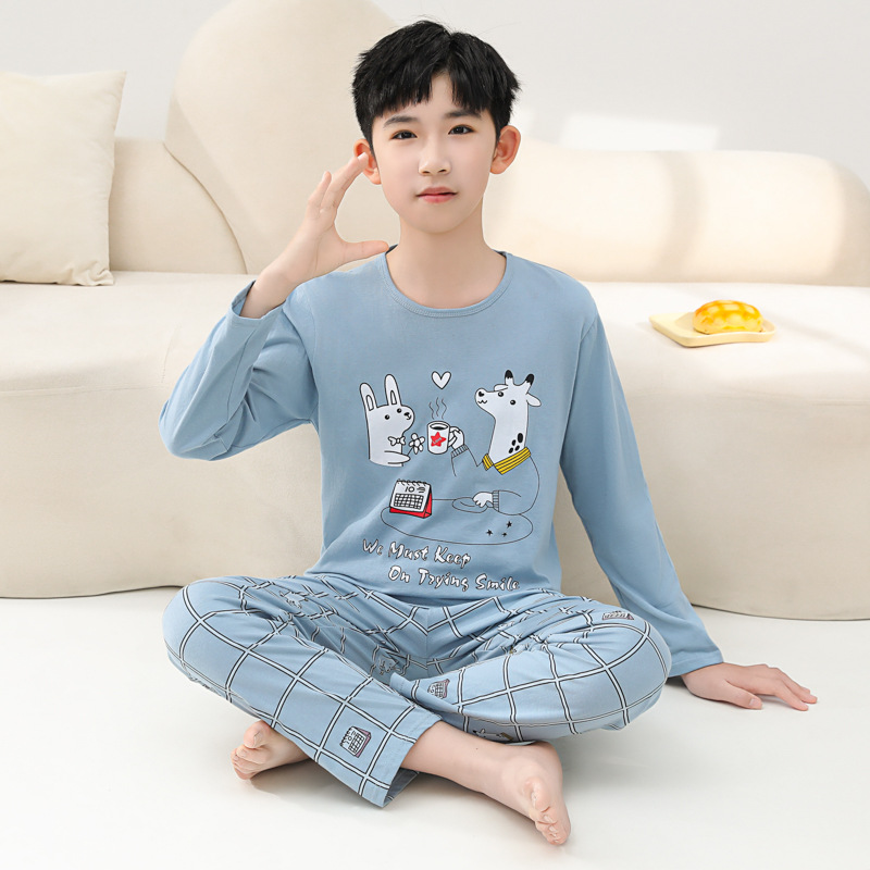Picture of Summer Boys' Pajamas Pure Cotton Thin Long Sleeve New Arrival Printed Outer Wearing Summer Children's Air Conditioning Home Clothes suit