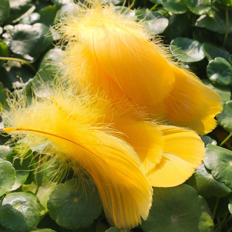 Picture of diy handmade color floating feather goose feather dream catcher wave ball gift box filling decoration materials