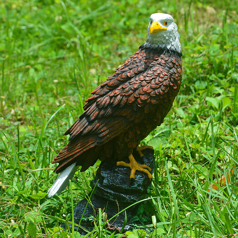 Picture of Cross-border Supply Simulation Eagle Ornaments Imitation Copper Eagle Decorations Animal Model Household Resin Craft Gifts