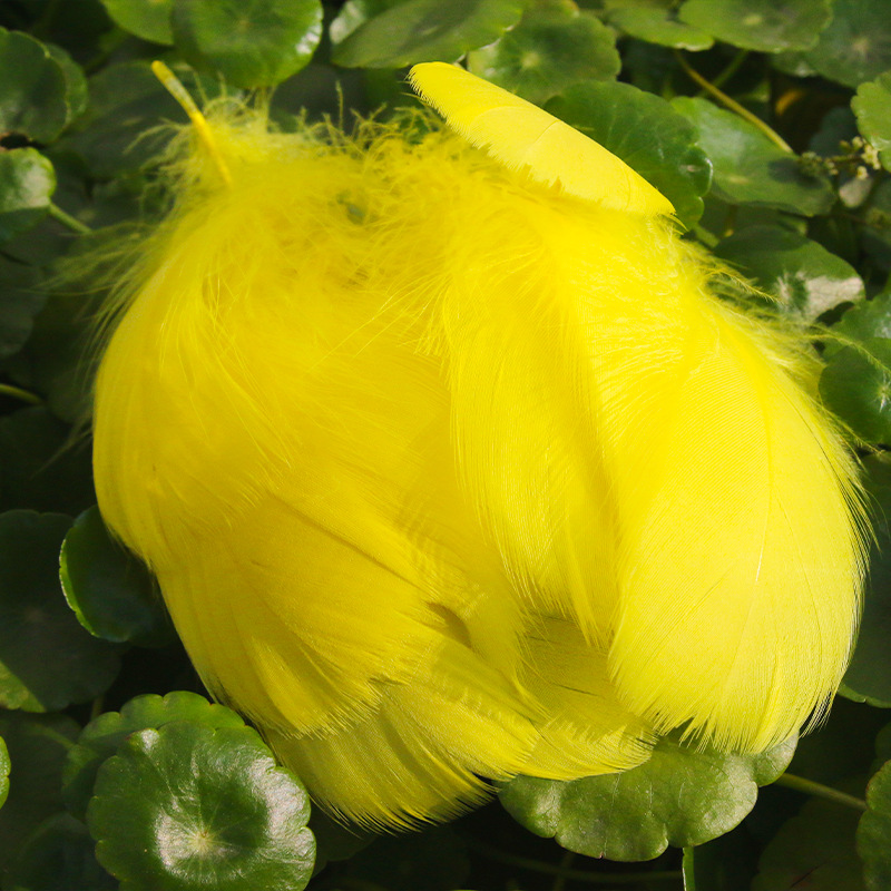Picture of diy handmade color floating feather goose feather dream catcher wave ball gift box filling decoration materials