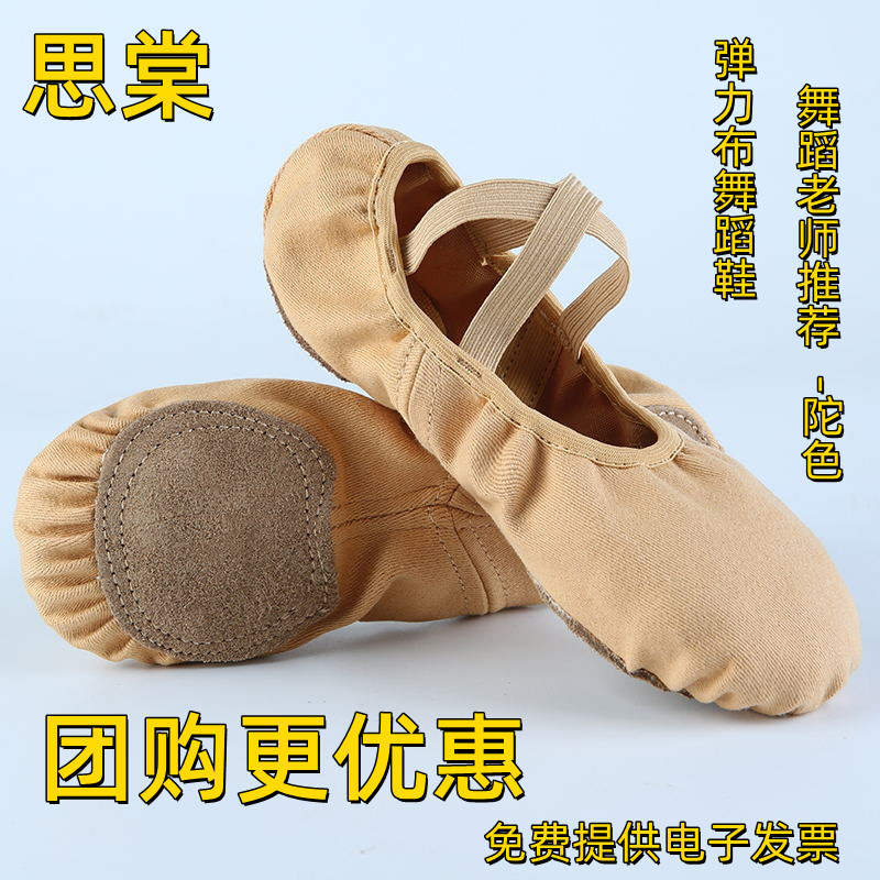 Stretch Fabric Dance Shoes Non-Slip Dance Children's Soft Sole Practice Camel Color Cat Paw Shape Si Tang Training Class Wrap Comfortable