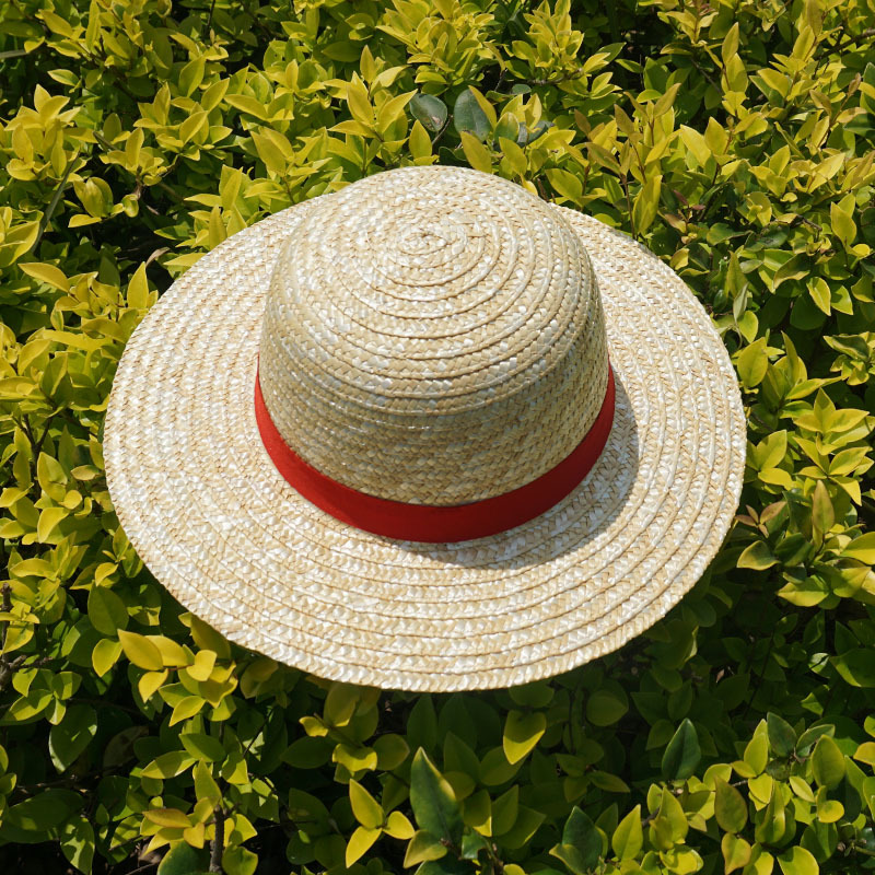 Picture of One Piece Luffy Beach Hat Children's Outdoor Sunshade Straw Hat Male and Female Students Travel Straw Hat