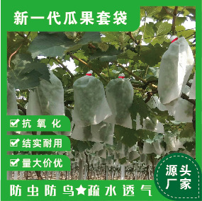 Non-woven Grape Bag Insect-proof Bird-proof Rain-proof Fruit Special Bag Open-air Melon and Fruit Breathable Transparent Protective Bag