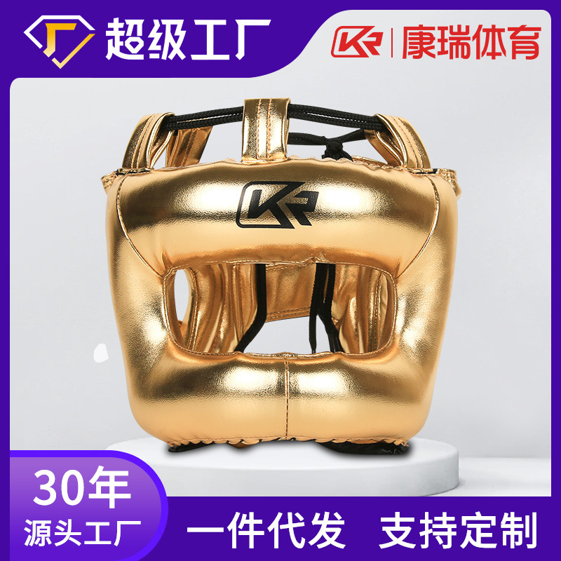 Cross-border Boxing Head Protector Beam Closed Fighting Helmet Fully Enclosed Sanda Fighting Training Protector Adult