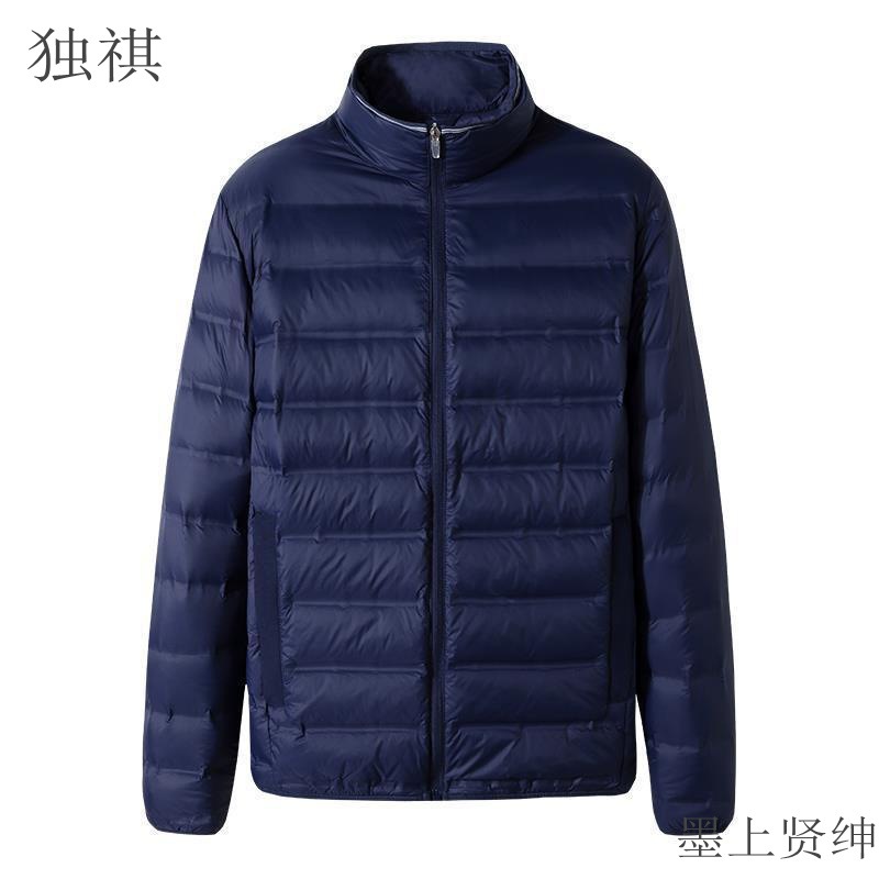 Picture of Foreign trade cut label original single plus size men's light thin feather cotton cotton-padded jacket men's fat plus fat collar warm autumn and winter coat