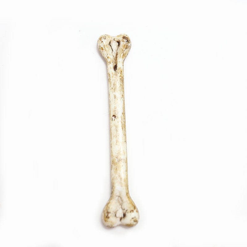 Picture of Zilin Cross-border Amazon Dead Day Halloween Gadgets DIY decorations with holes bones can be threaded bones