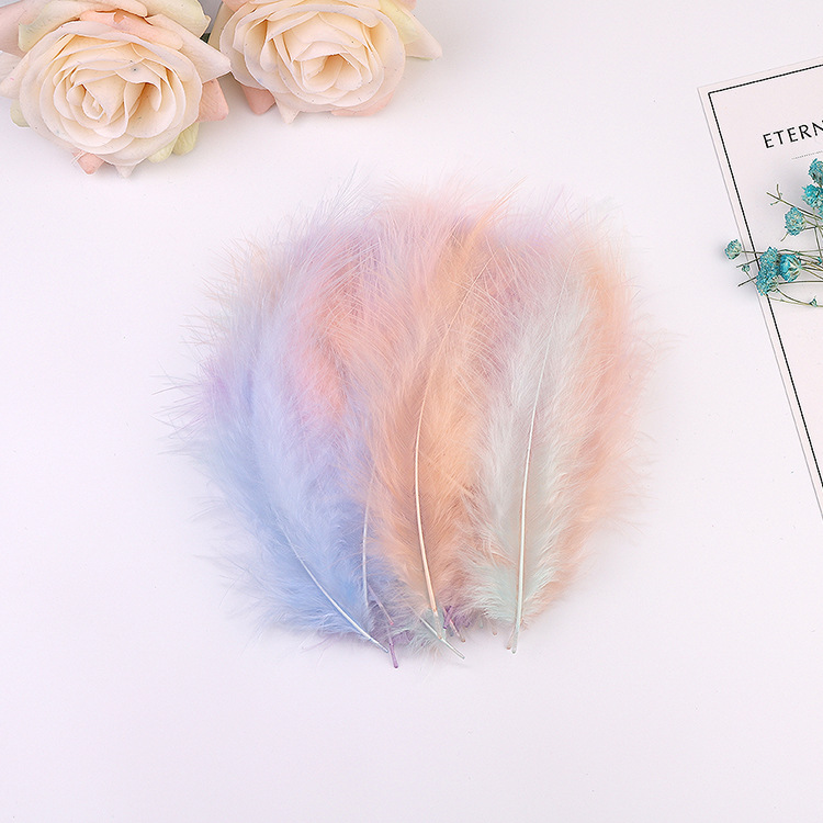 Picture of Cross-Border Wholesale Turkey Feathers Pointed Tail Velvet Feathers Colorful Feathers Dream Catcher Feathers Feather Lamp Wave Ball Feathers