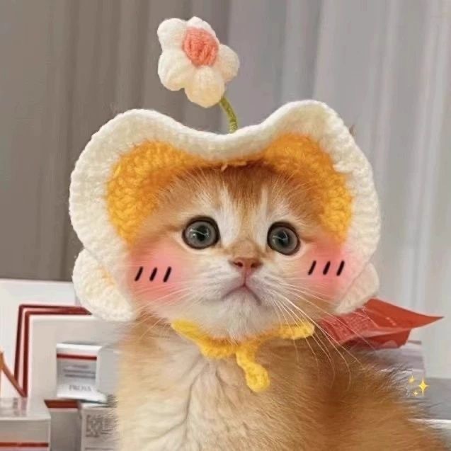 Pet Poached Egg Cat Hat Handmade Knitting Kit Xiaohongshu Douyin Same Style DIY Cute and Comfortable