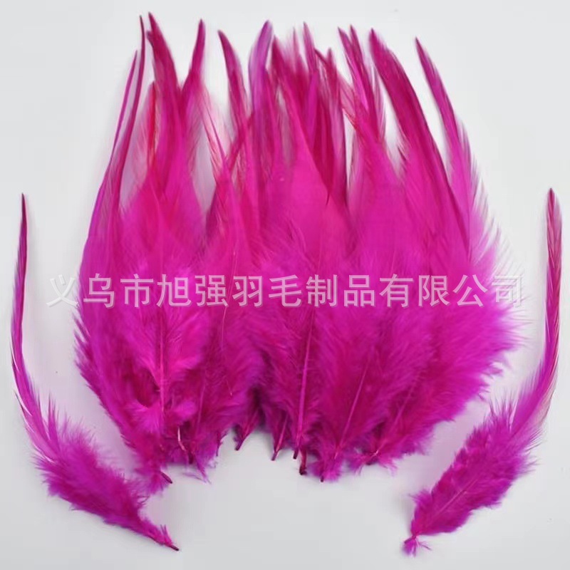 Picture of Feather wholesale sharp feather color chicken feather big white tip diy dream catcher handmade crafts earrings clothing accessories