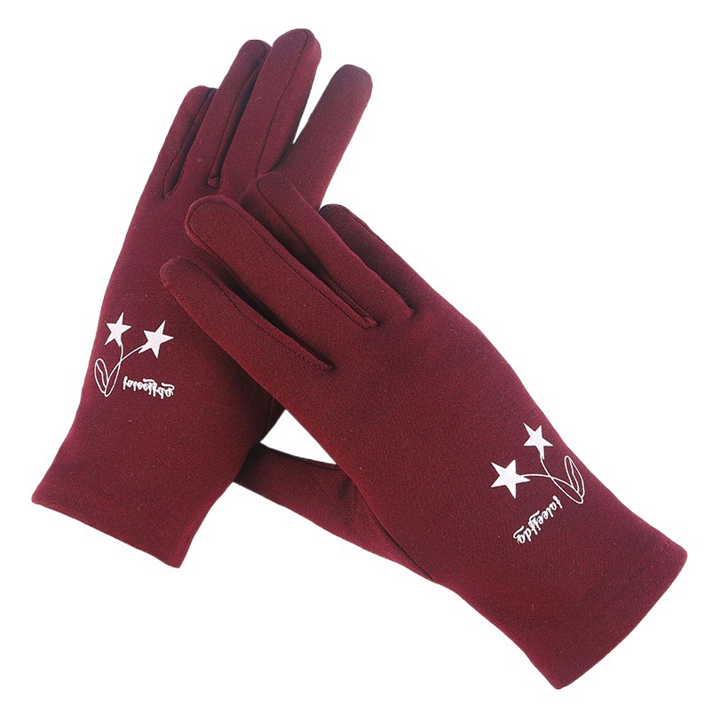 Wholesale gloves women's autumn and winter warm fleece-lined outdoor five-finger ladies cold-proof riding driving gloves performance
