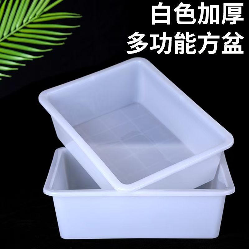 Plastic Box Lidless Shelf Crisper Spicy Hot Freezer Ice Basin Thickeneded Canteen Storage Box Fresh