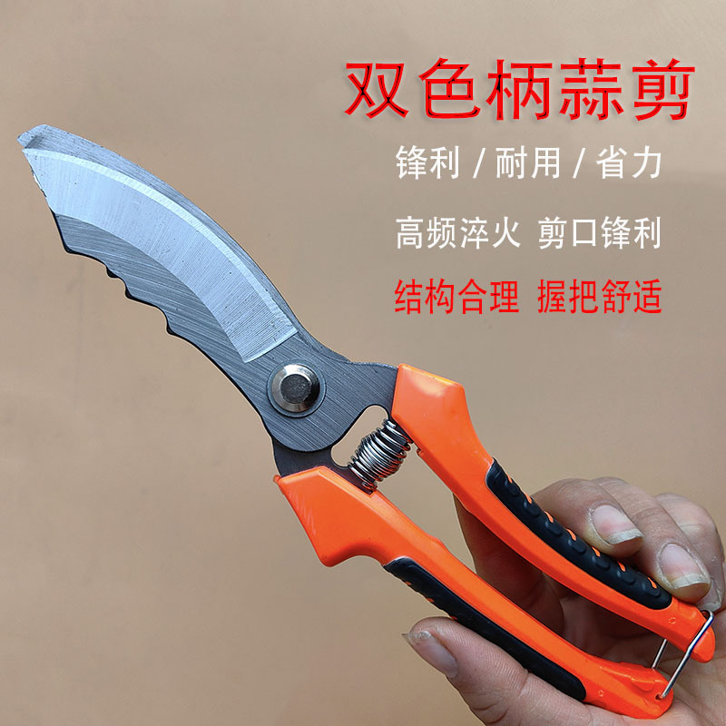 New Garlic Shears Special Shears for Garlic See Garlic Head Shears Garlic Hu Shears Garlic Root Agricultural Scallion Ginger Onion Shears