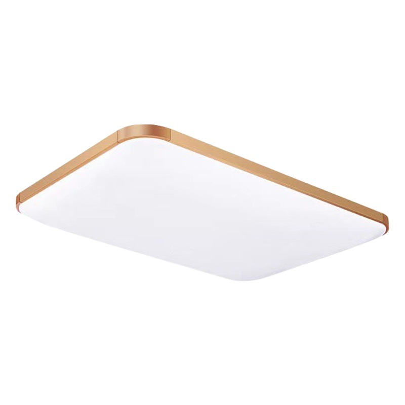 Ceiling lamp LED ceiling lamp acrylic aluminum living room lamp modern simple rectangular ceiling lamp factory wholesale