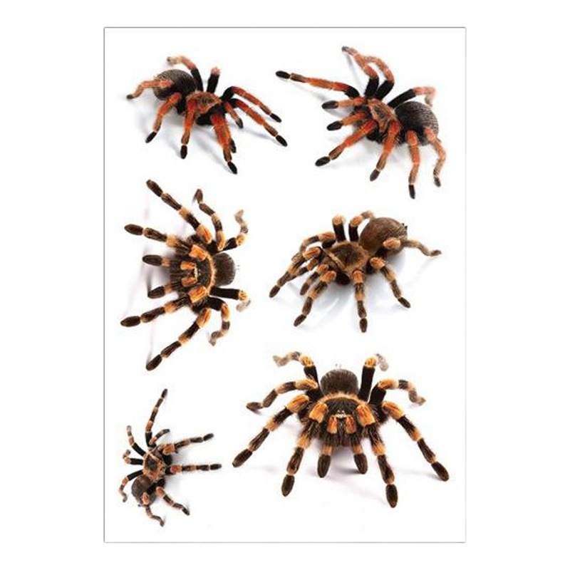 One-hand cross-border supply spider web Halloween tattoo stickers horror funny scar spider dress tattoo stickers
