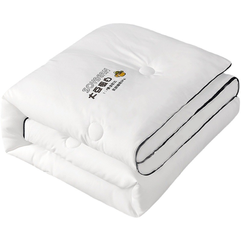 Soybean Quilt Wholesale Sanding Thickened Winter Quilt Spring and Autumn Double Quilt Dormitory Home Four Seasons Quilt Core Summer Air-conditioning Quilt