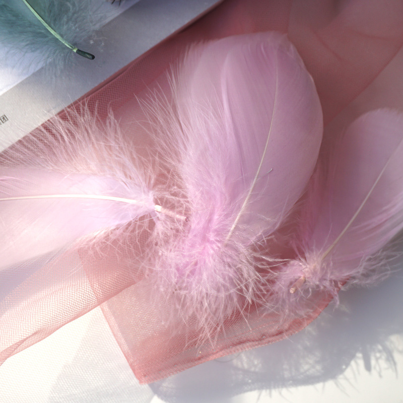 Picture of Color feather DIY floating dyeing goose feather dream catcher wave ball gift box filling decorative materials wholesale
