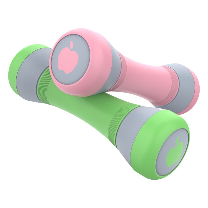 Adjustable Women's Fitness Dumbbell Yoga Exercise 2kg in One Solid Home Workout for Body Shaping and Beauty