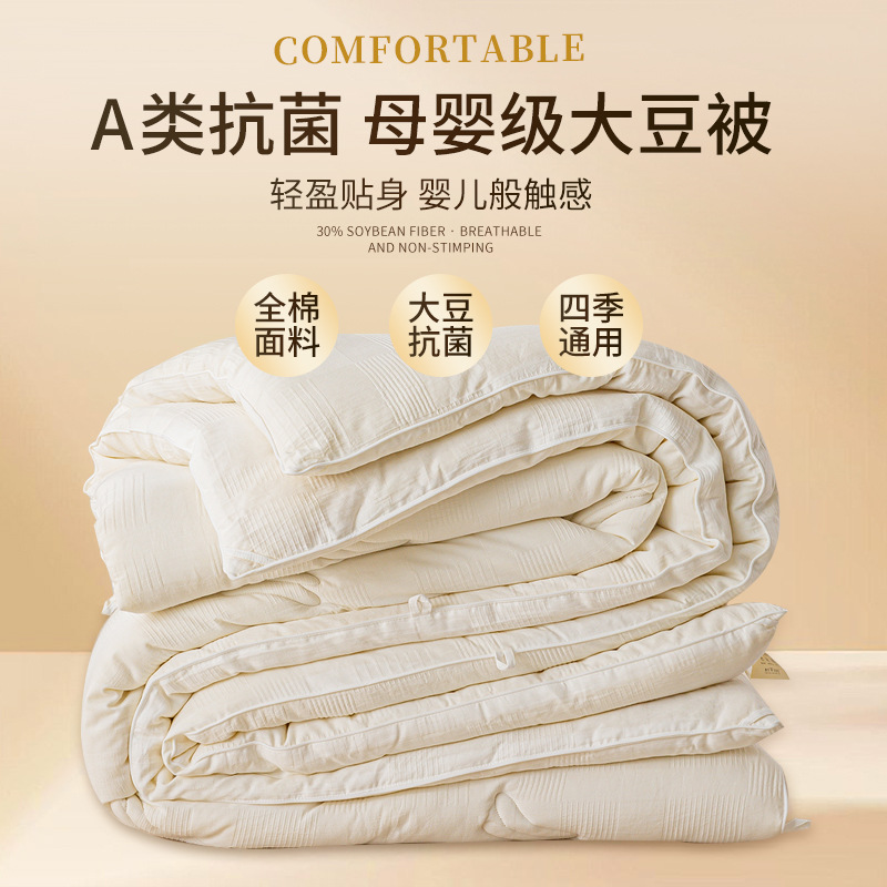 Autumn and Winter New Simple Solid Color Cotton Soybean Quilt Spring and Autumn Quilt Winter Quilt Mother and Mother Quilt Core Home Hotel Homestay Quilt