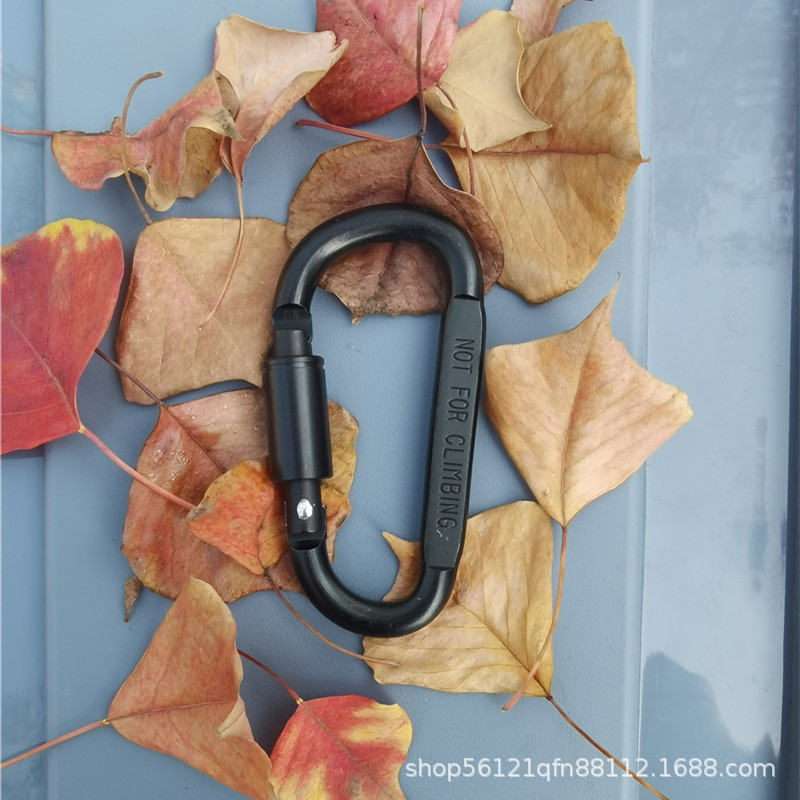 Picture of Outdoor aluminum alloy D-type quick hanging travel camping carabiner equipment camping carabiner large hanging buckle