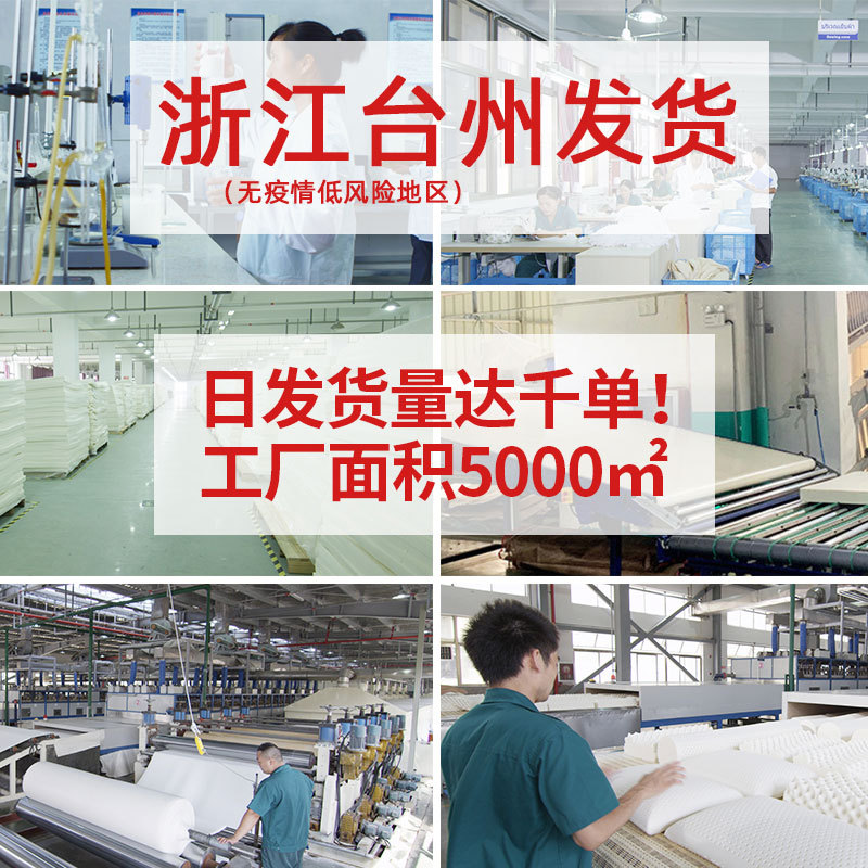 Picture of Carefully Selected Genuine Latex Pillow Natural Pillow Core Adult Neck Pillow Latex Pillow Manufacturer Gift Wholesale