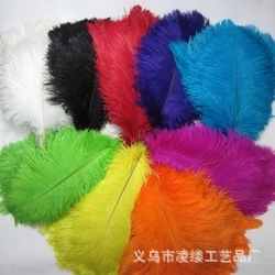 Wholesale 50 to 55cm thin rod wide hair flower South Africa ostrich feather jewelry accessories clothing accessories DIY