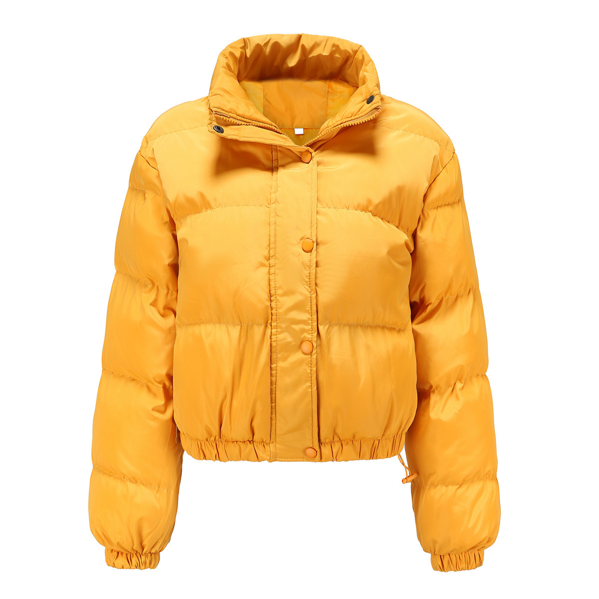 Picture of Cotton-padded clothes Russian cotton-padded jacket Women's Elegant Short Street Photography Autumn and Winter High Collar