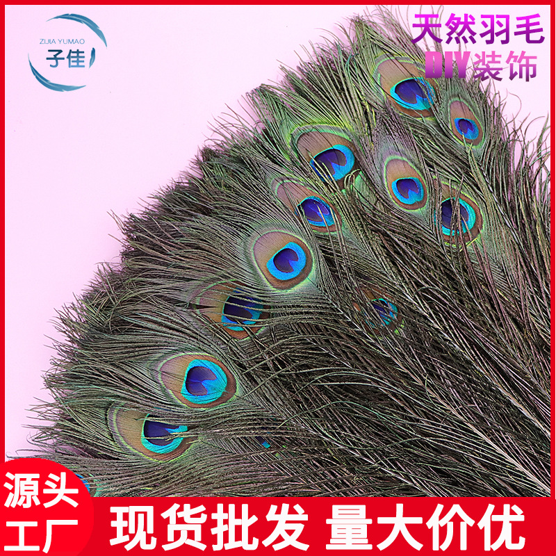 Peacock feather 90-100cm peacock feather wholesale accessories flower arrangement natural feather decoration