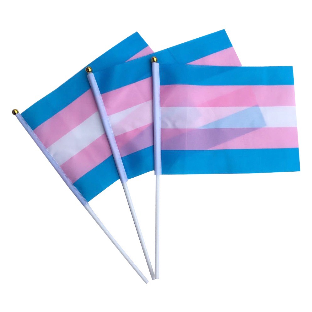 No. 8 comprehensive rainbow flag in stock wholesale 14 * 21cmFt polyester flag manufacturers hand flag cross-border TEMU supply