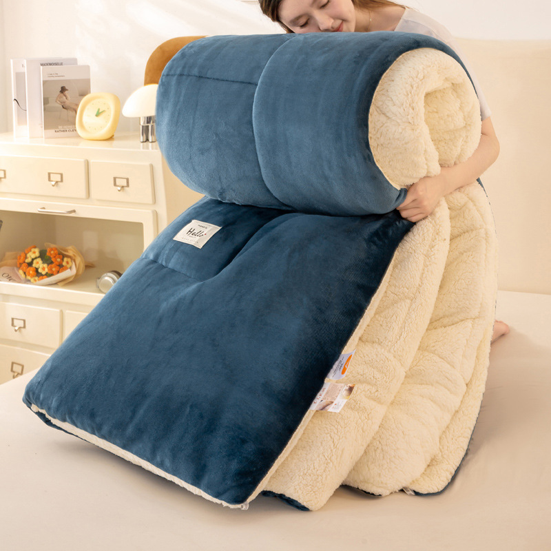 Picture of Lamb Velvet Quilt Winter Quilt Milk Velvet Coral Velvet Spring & Fall Quilt Student Dormitory Single Quilt Quilt Core Does Not Shed Lint